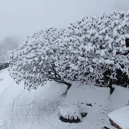Chantemerle 1741, D'hotes A La Montagne 3*